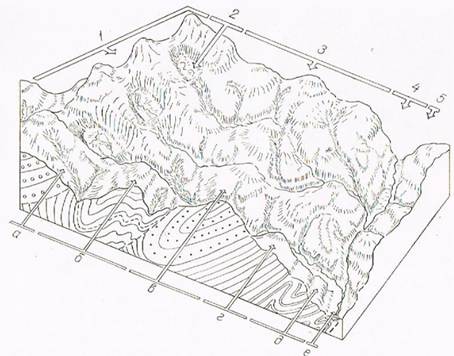 Рис. 3. Блок-діаграма фрагменту одного з секторів гірського ландшафту. Висотні місцевості: 1 - пенепленізоване альпійсько-субальпійське високогір'я; 2 - давньолодовиково-ерозійне субальпійське високогір'я; 3 - крутосхиле ерозійно-денудаційне лісне середньогір'я; 4 - високі терасовані вторинно-лучні схили між гірських долин; а, б, в, г, д, е - стрії, що формуються на різних по літолого-стратеграфічних властивостях полосах гірських порід.