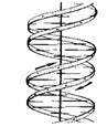Просторова структура ДНК.