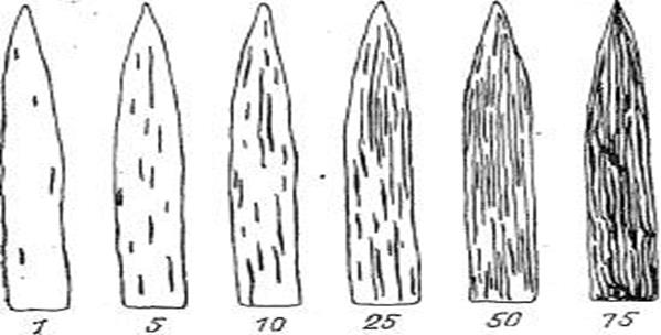 Шкала учета пораженности хлебных злаков и злаковых трав линейной, или стеблевой ржавчиной (Э. Стекмана и М. Левина (1922)).