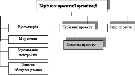 Приклад проектної структури управління проектами.