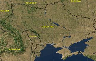 Сучасний стан та територіальний розподіл лісів України.