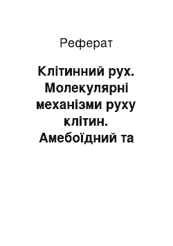 Реферат: Клітинний рух. Молекулярні механізми руху клітин. Амебоїдний та війчастий рух