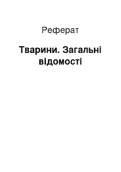 Реферат: Тварини. Загальні відомості