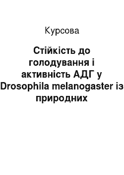 Курсовая: Стійкість до голодування і активність АДГ у Drosophila melanogaster із природних популяцій України