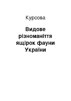 Курсовая: Видове різноманіття ящірок фауни України