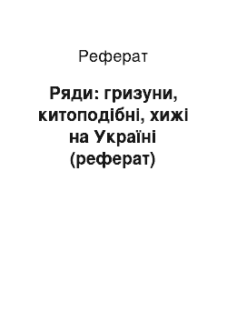 Реферат: Ряди: гризуни, китоподібні, хижі на Україні (реферат)