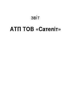 Отчёт: АТП ТОВ «Сателіт»