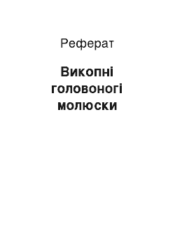 Реферат: Викопні головоногі молюски