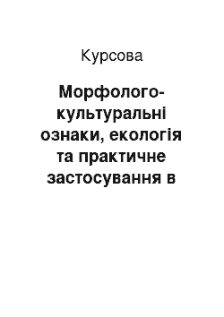 Курсовая: Морфолого-культуральні ознаки, екологія та практичне застосування в біотехнології грибів Penicillium funiculosum