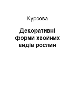 Курсовая: Декоративні форми хвойних видів рослин