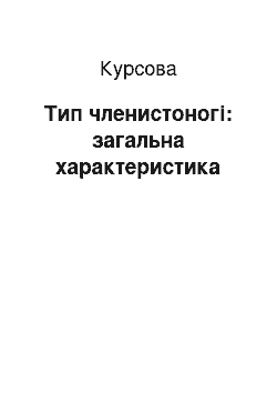 Курсовая: Тип членистоногі: загальна характеристика