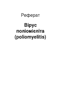 Реферат: Вірус поліомієліта (poliomyelitis)