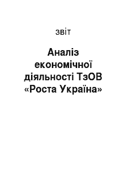 Отчёт: Аналіз економічної діяльності ТзОВ «Роста Україна»