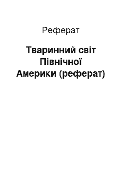 Реферат: Тваринний світ Північної Америки (реферат)