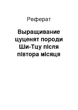 Реферат: Выращивание цуценят породи Ши-Тцу після півтора місяця