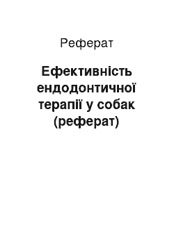 Реферат: Ефективність ендодонтичної терапії у собак (реферат)