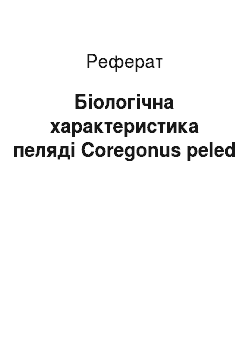 Реферат: Биологическая характеристика пеляди Coregonus peled