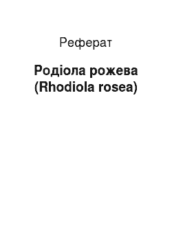 Реферат: Родіола рожева (Rhodiola rosea)