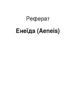 Реферат: Энеида (Aeneis)