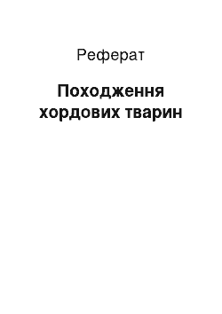 Реферат: Происхождение хордовых тварин