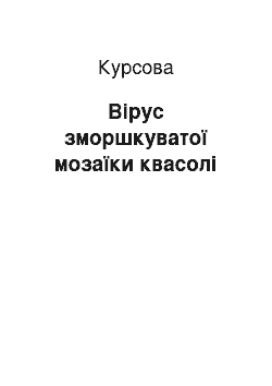 Курсовая: Вірус зморшкуватої мозаїки квасолі