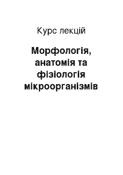 Курс лекций: Морфологія, анатомія та фізіологія мікроорганізмів