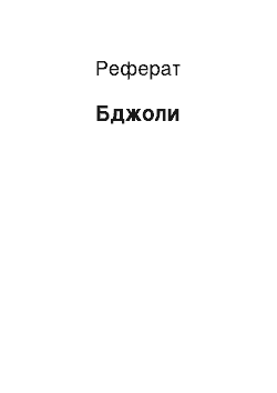 Реферат: Пчелы