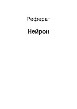 Реферат: Нейрон