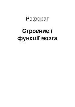 Реферат: Строение і функції мозга