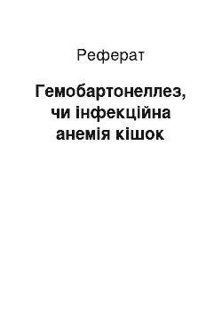 Реферат: Гемобартонеллез, чи інфекційна анемія кішок