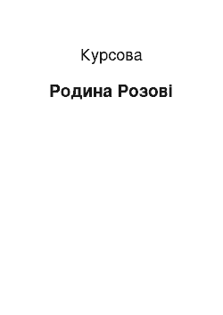 Курсовая: Родина Розові