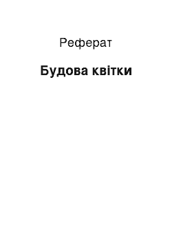 Реферат: Строение цветка