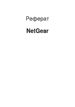 Реферат: NetGear
