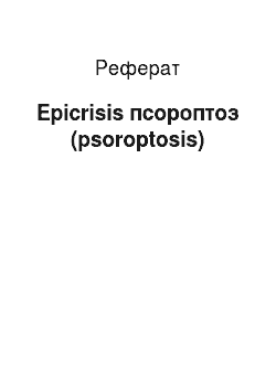 Реферат: Epicrisis псороптоз (psoroptosis)