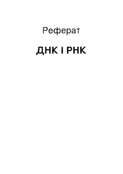 Реферат: ДНК і РНК