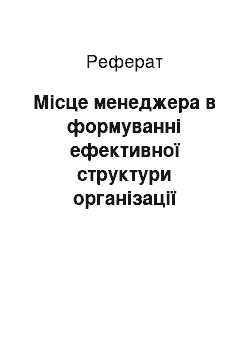 Реферат: Місце менеджера в формуванні ефективної структури організації (реферат)