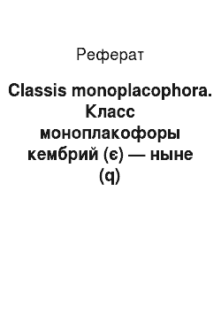 Реферат: Classis monoplacophora. Класс моноплакофоры кембрий (є) — ныне (q)